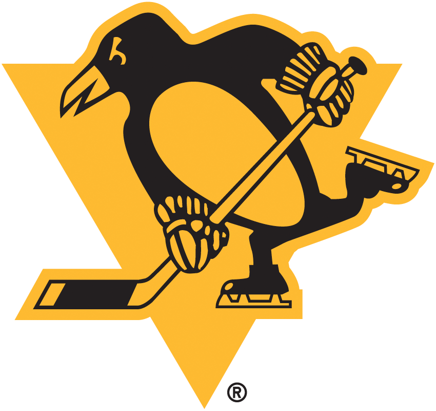Pittsburgh Penguins 2019 Special Event Logo iron on transfers for fabric
